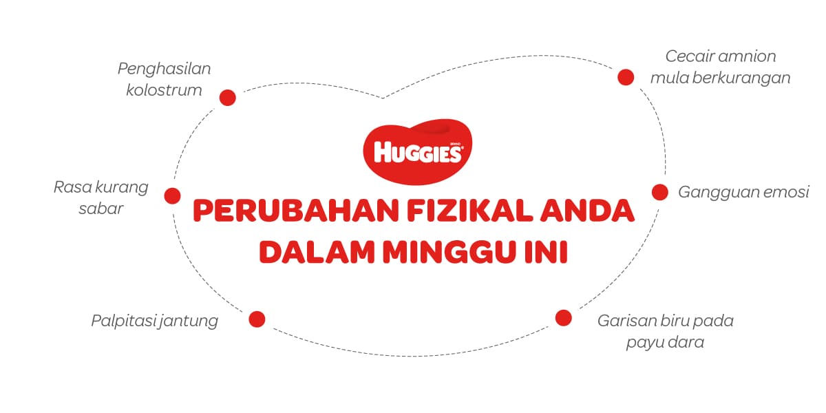 Perubahan Fizikal Ibu Mengandung 35 Minggu | Huggies Malaysia